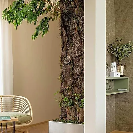 Herbarium Boutique فندق أولوموك