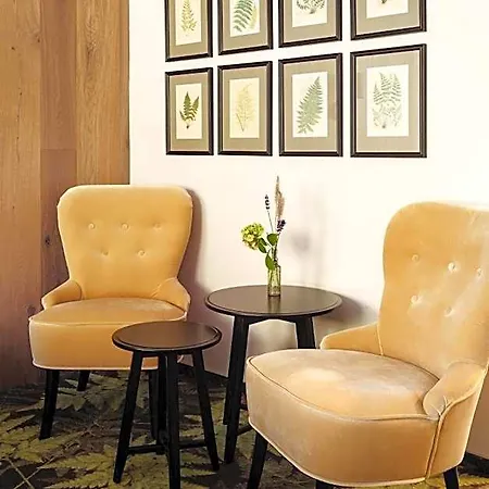 Herbarium Boutique فندق أولوموك